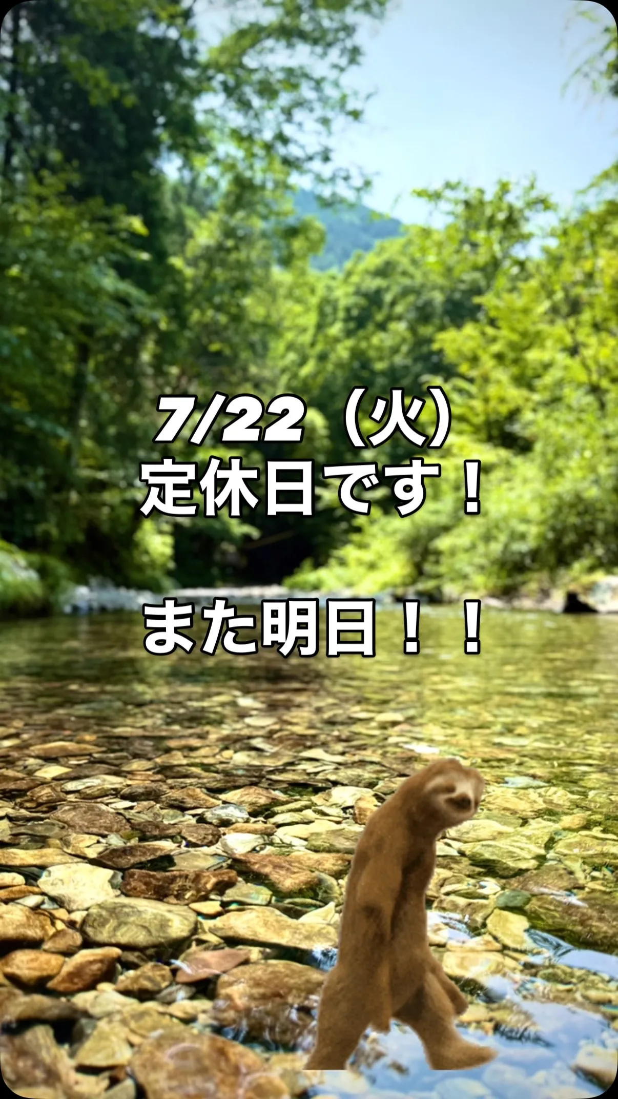 7/22（火）